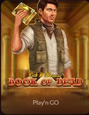 Book of Dead - Play’n GO
